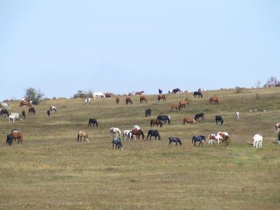 Прикрепленное изображение: DSCF5791.jpg